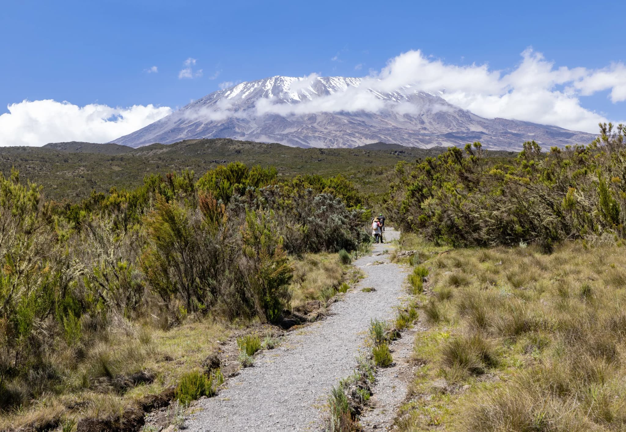 Hikers on a trail through moorland below Mount Kilimanjaro