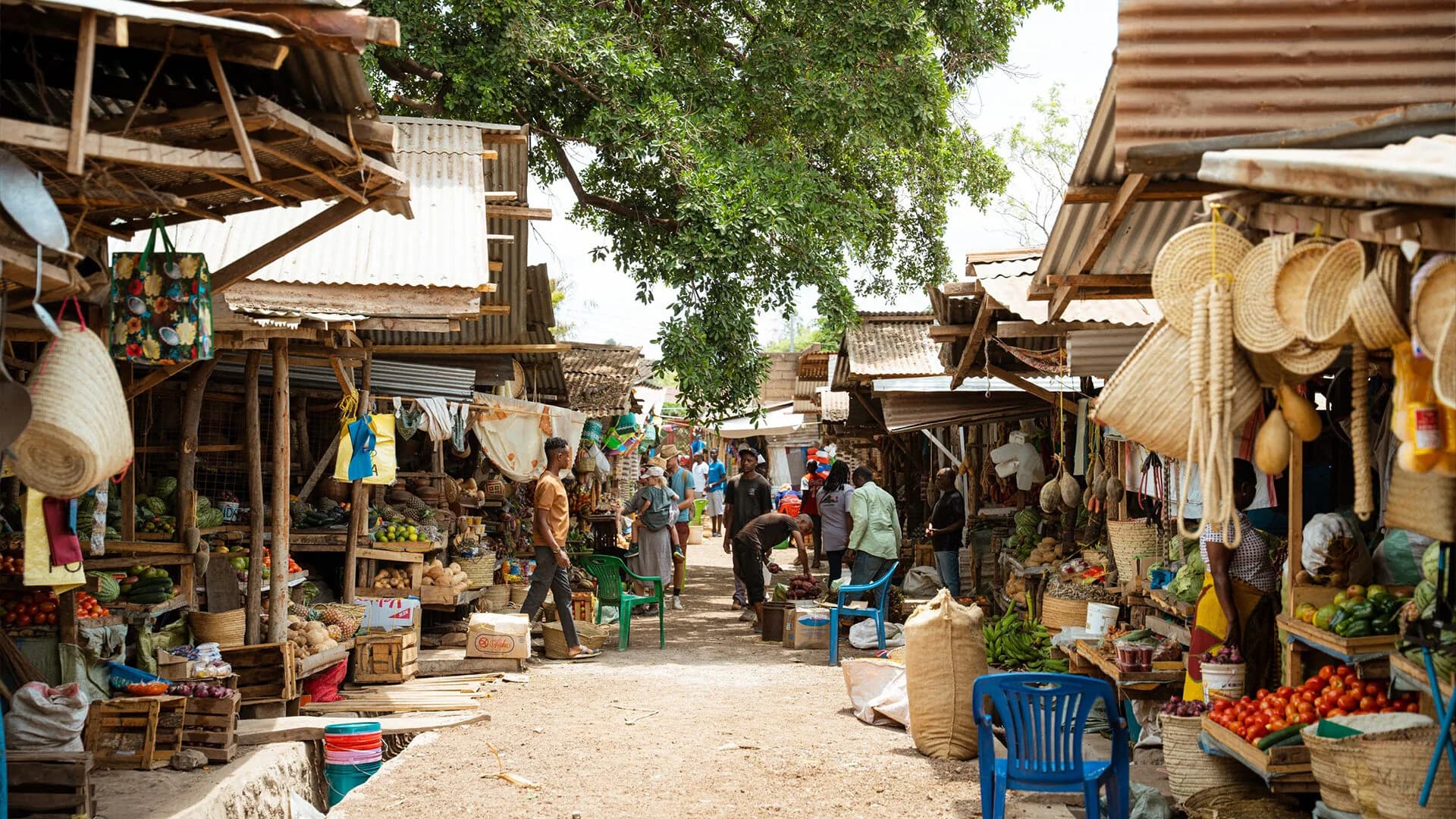 A shaded market lane lined with fruit and vegetable stalls and hanging woven baskets, with people walking beneath a large tree