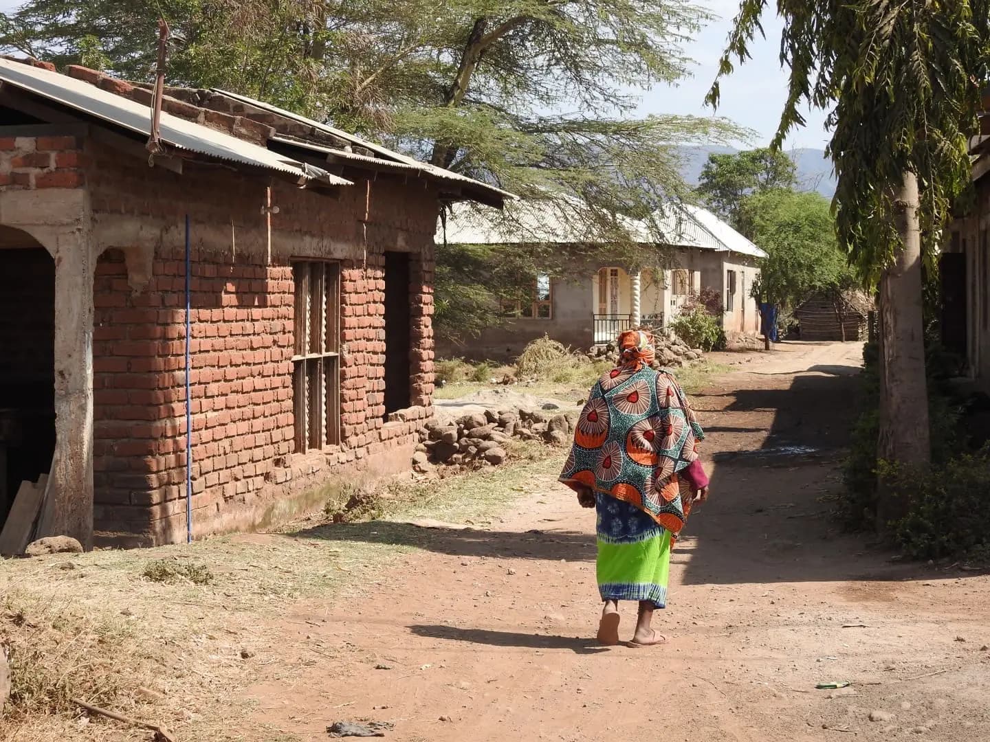 A woman in a bright patterned wrap walks along a dirt lane past brick houses and acacia trees, with hills in the distance