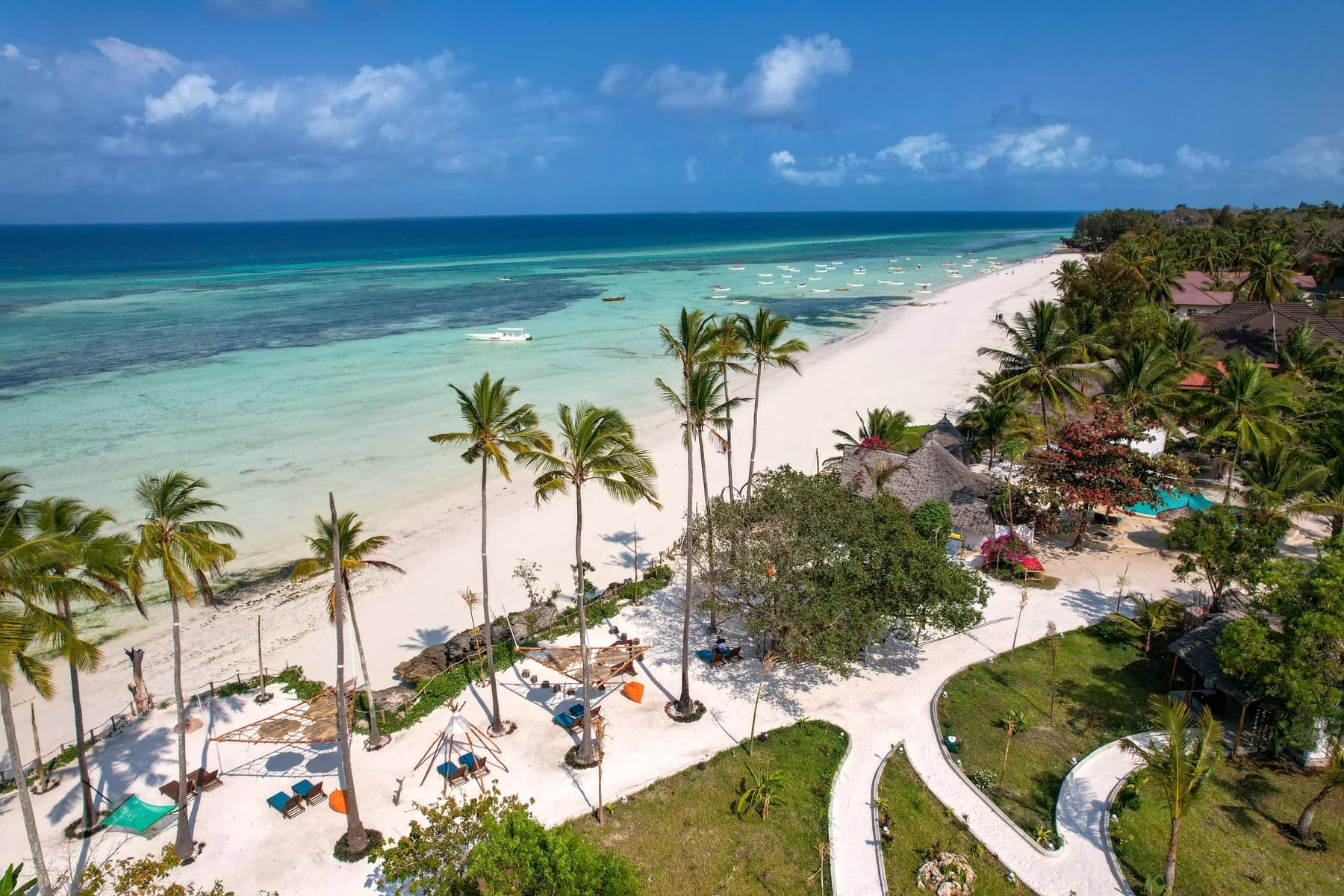 Aerial view of palm trees along a white-sand beach and turquoise lagoon